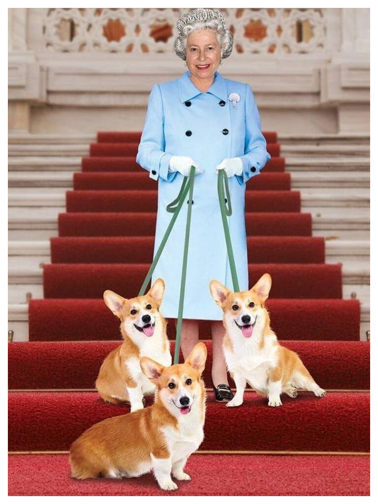 10 Must Knows About The Queen s Favorite Corgi Dogs Metro Style